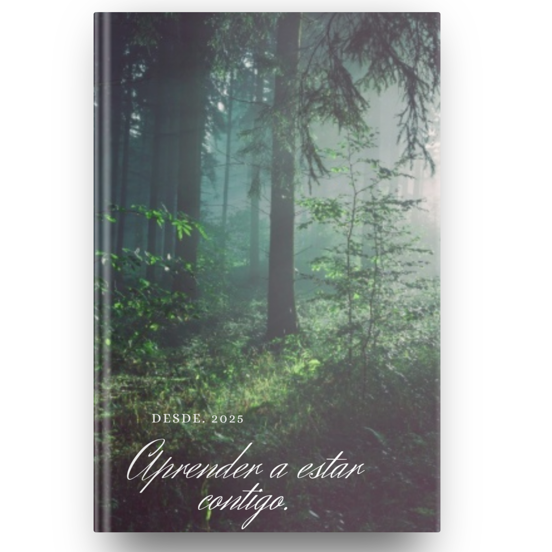 La calma empieza aquí.